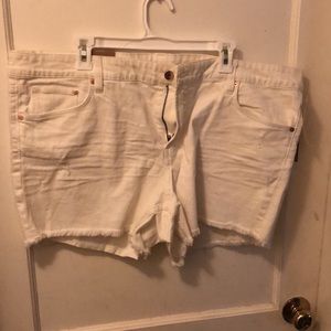 White Denim Shorts - Plus Size